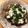 Cooksnap από kimwlos στη συνταγή Χταπόδι ξυδάτο (για μεζές!!)