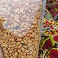 Cooksnap dari Ermaa Puspita Sari untuk resep Kacang Bawang Renyah