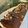 El cooksnap de Marina Buttiero cuando hizo Budín integral de cacao y naranja.