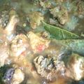 Cooksnap dari popoz zz untuk resep Rica Ayam Solo