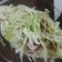 Jyoti Shah's cooksnap of when they made ફલાફલ (Falafel Recipe In Gujarati).