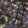 Cooksnap dari Catherine Ling untuk resep Red velvet cream cheese Brownies