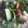 Cooksnap dari Indri Hijriyyah untuk resep Sayur Lodeh