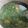 Cooksnap dari nuning untuk resep Sayur bayam bening