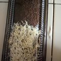 Cooksnap dari Ismi Raharto untuk resep Brownies kukus simple ala-ala no gagal