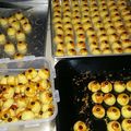 Cooksnap dari Yola Flora Romana untuk resep Nastar wisman