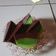 Cooksnap dari Rahdina Prihatini untuk resep Pudding Lumut lapis coklat