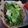 El cooksnap de LoretoSoledad cuando hizo Masa de fajitas caseras.