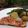 Joanne's cooksnap of when they made Salmon & Pesto-Dressed Vegetables.