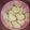 El cooksnap de BEL cuando hizo Galletas de limón y vainilla.