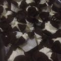 Cooksnap dari Ardian Syah untuk resep Bolu kukus mekar