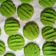Cooksnap dari Ratna Gita untuk resep Cookies Matcha Chocolatos 🍵