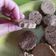 La cooksnap de Paola cuando cocinó Alfajores de chocolate fáciles y económicos