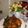 Cooksnap dari ira wati untuk resep Ayam Kecap bombay