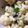 Salem101's cooksnap of when they made Cauliflower Salad.