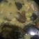 Cooksnap dari Kiki Oktavia untuk resep Sayur lodeh Terong Kentang