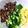 Cooksnap dari Ruri untuk resep Minced beef teriyaki-donburi ala Andini