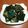 sharonho 的 【元本山海苔】海苔風味烤飯捲♫ cooksnap