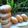 Cooksnap dari Dewatipuspitasari untuk resep Donat Ubi Cilembu