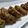 Deepti Padiyar's cooksnap of when they made कोथिंबीर वडी (kothimbir wadi recipe in marathi).