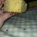El cooksnap de Albaandgrego cuando hizo Bizcocho de yogur de limón.