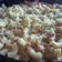 Cooksnap dari Sari Mutiarani untuk resep Macaroni chicken carbonara