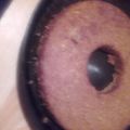 El cooksnap de Soraya cuando hizo Budín de pan rallado.