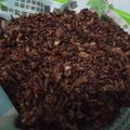 Cooksnap dari Suzhie Riyatha untuk resep Siwang