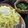 รูป Cooksnap ของ fang fang kitchen เมื่อเขาทำ ซารุราเมน zaru ramen