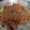 Cooksnap dari Andhini Listiawati untuk resep Oseng soun pedas