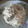 El cooksnap de Daysi Mariela Ruiz Castro cuando hizo Salsa simple de atún para pastas.