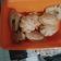 Cooksnap dari Marianna untuk resep Takoyaki Ekonomis