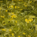 El cooksnap de Pati Hiroshi cuando hizo Rajas con crema.
