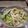 阿文 的 蛤蜊絲瓜麵 cooksnap