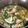 รูป Cooksnap ของ ภานุวัฒน์ ฉ่ำประวิง เมื่อเขาทำ อ่อมไก่อีสาน