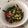 Cooksnap dari annisa yamin untuk resep Kale cah Ayam