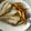El cooksnap de @tesa.cuina cuando hizo Gallo frito sobre cama de patatas y ajo con aros de cebolla🍤🍤.