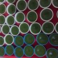 Cooksnap dari jusdi untuk resep Kue Lumpang Pandan