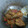 Cooksnap dari Resep Mama Baasil untuk resep Ayam goreng mentega