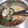 Cooksnap dari Siti Muakhiroh untuk resep Sop Iga Kambing