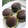Asmau malami Basakkwace 's cooksnap of when they made Chocolate Cupcakes.
