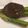 Cooksnap dari Hx Hidayat untuk resep Pan-seared Mushroom and Asparagus with Balsamic Vinegar Infusion