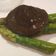 Cooksnap dari Hx Hidayat untuk resep Pan-seared Mushroom and Asparagus with Balsamic Vinegar Infusion
