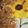El cooksnap de Anabella Sequeira cuando hizo Galleta de avena y Banana.