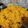 Sutapa Chakraborty's cooksnap of when they made বাসন্তী পোলাও (basanti polau recipe in bengali).