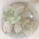 Ho Weining 的 薑絲蛤蜊湯{簡單料理} cooksnap
