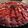 El cooksnap de Julian Carballo cuando hizo Tarta de frutillas con pastelera.