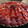 El cooksnap de Julian Carballo cuando hizo Tarta de frutillas con pastelera.