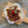 Cooksnap dari dewialwie untuk resep Dessert Box Dengan Cream Premium