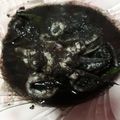 Cooksnap dari Dani Key untuk resep Ungkep Cumi Basah Hitam